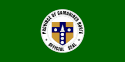 Vlag Fil CamarinesNorte